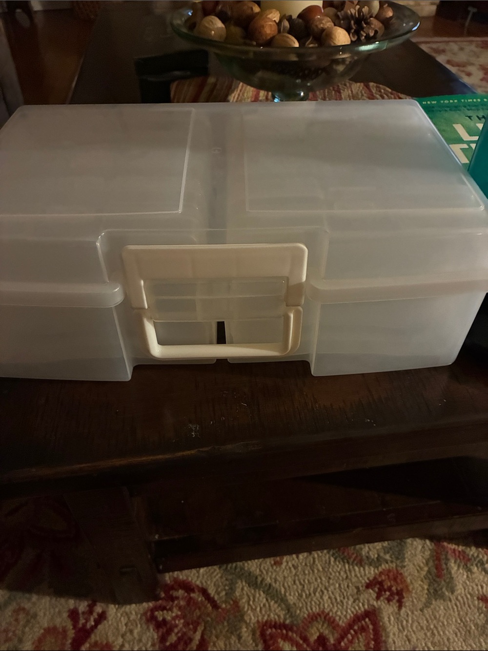 Clear Plastic Storage 4x6 photo Organizer Box with White Latch.